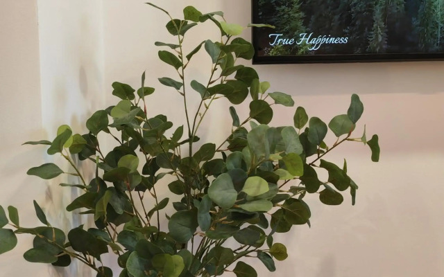 Sunset Bucharest Rebreanu