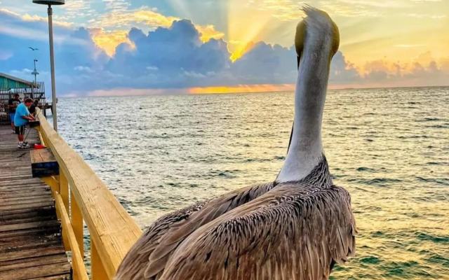 Pompano Beach Hidden Gem