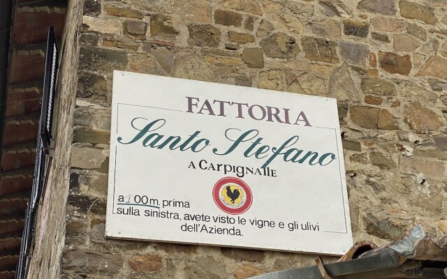 Fattoria Santo Stefano - Agriturismo