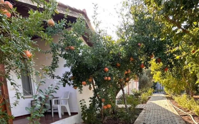 Olimpos Vadi Houses