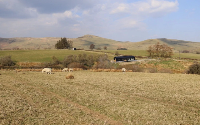 The Sheep Shed