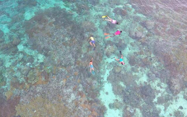 Murex Manado Dive Resort