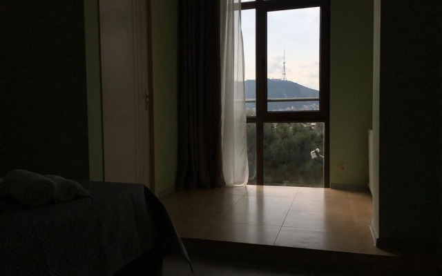 Номера с террасой Avlabari