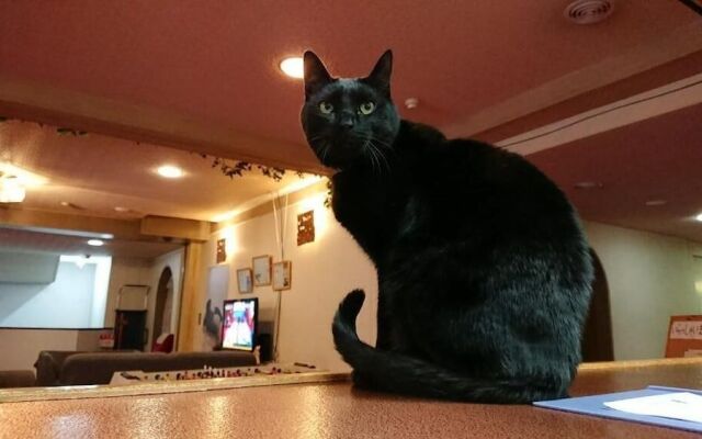 Sports Hotel SILVER SHIGA