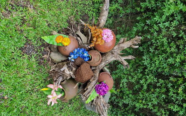 Calathea Lodge Monteverde