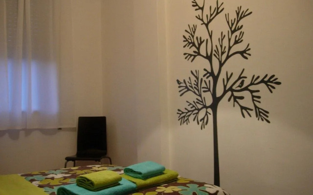 T1 Fernão Magalhães