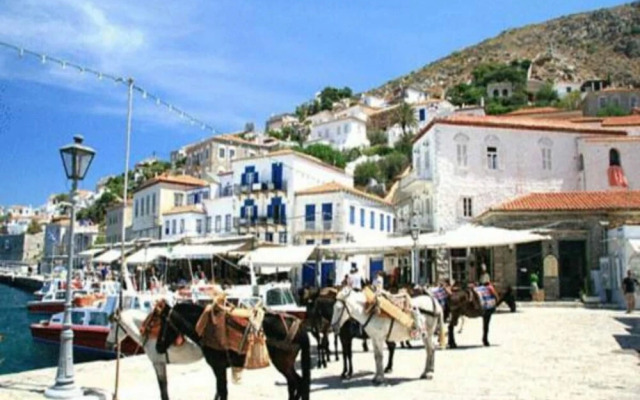 Andrea Pension