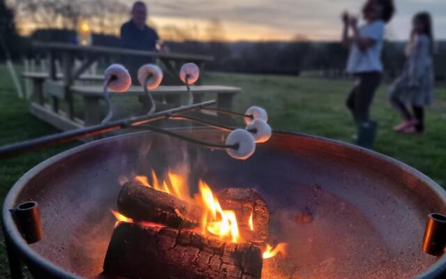 Orchid at Sunsets and Marshmallows