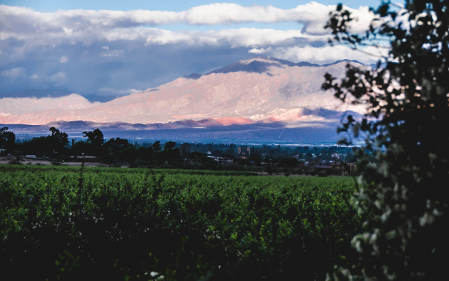 Viñas de Cafayate Wine Resort
