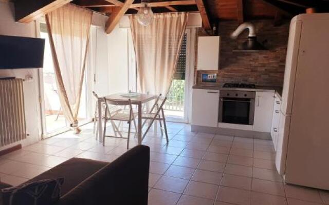 Leonardo Da Vinci / Galeazzi