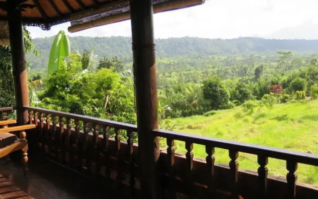 Lihat Sawah 1