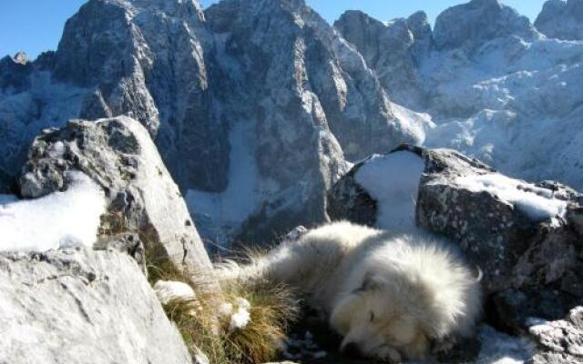 Guesthouse Planinarski Dom Neviden'o