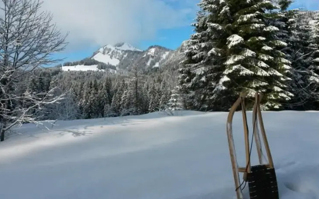 Bergwaldhaus Dreiangel