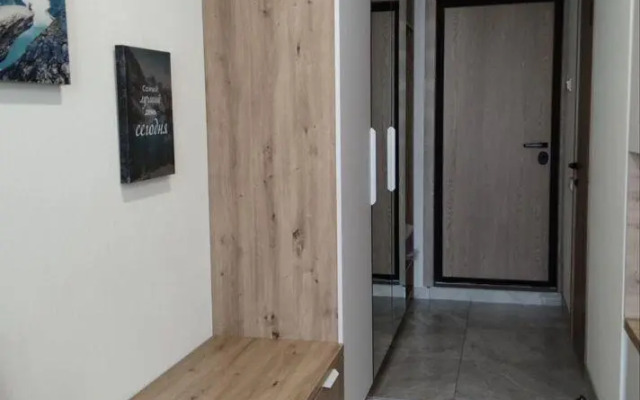 Studio apartments on 41 Tolstogo Street