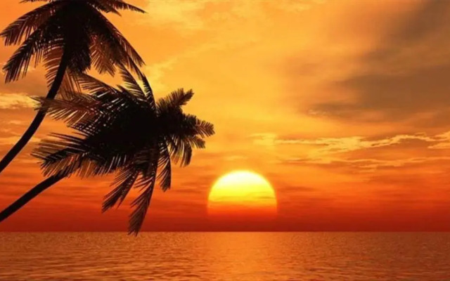 Pelican Cove #301