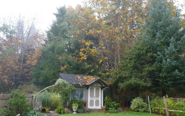 Willow Guest House A Bed and Breakfast