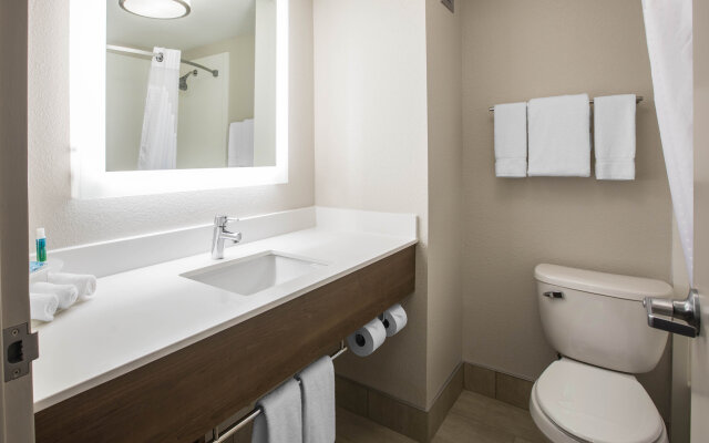 Holiday Inn Express & Suites Ludington by IHG