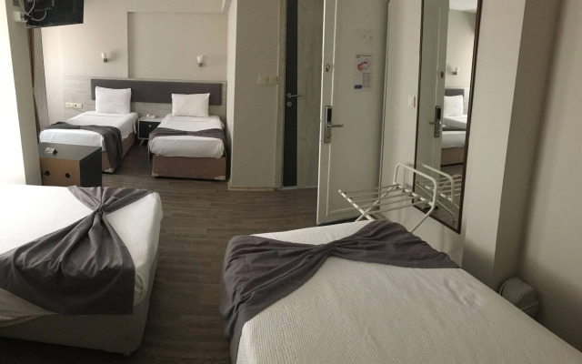 Hotel Temizay
