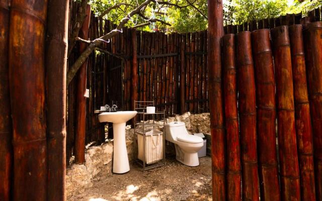 Jungle's Edge: Jiu-Jitsu, Muay Thai & Yoga Retreats