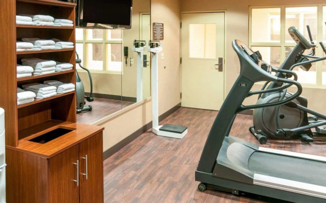 Spark by Hilton Exton