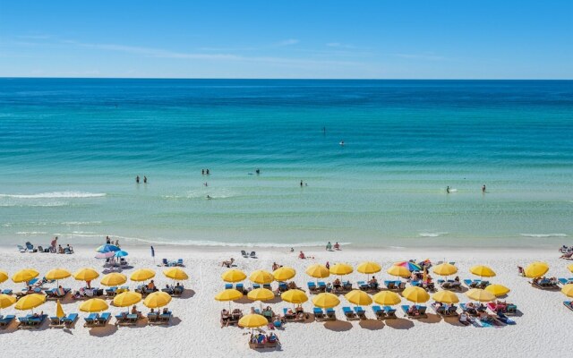 Treasure Island 0505