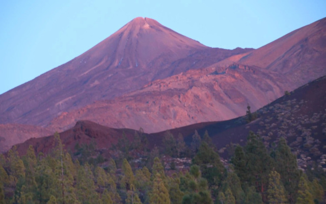 Paula Pool Apartment Adeje