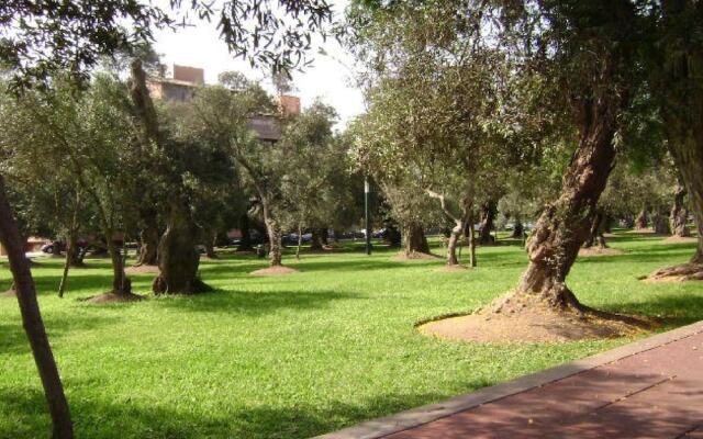 B&B El Olivar