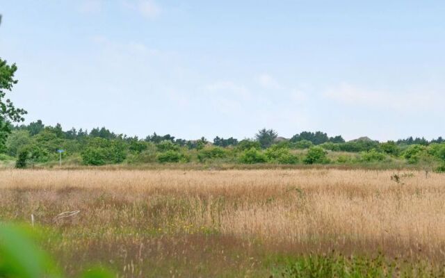 "Zeqir" - 2.7km from the sea in Western Jutland