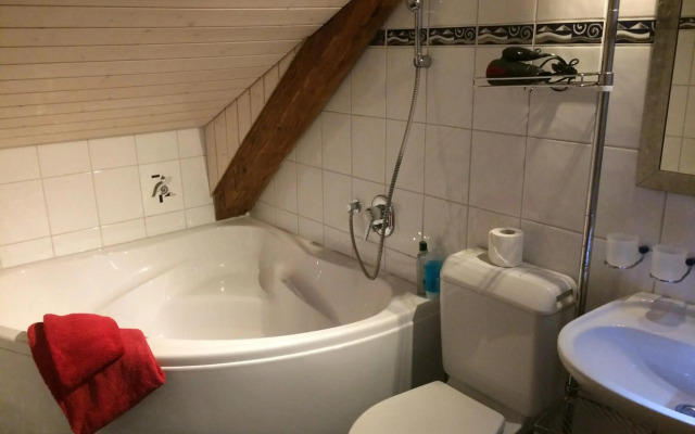 Historic Hotel Steinbock