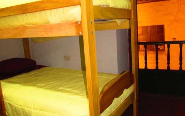 The Grasshopper Hostels AV Alta