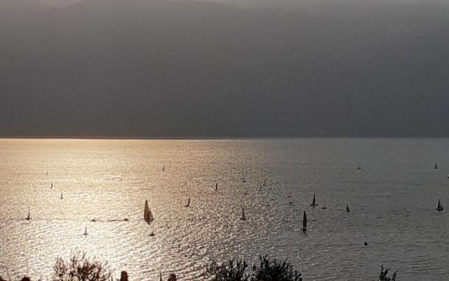 Agriturismo l'Uliveto di Bertoli Marco