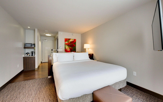 Hilton Garden Inn North Houston Spring