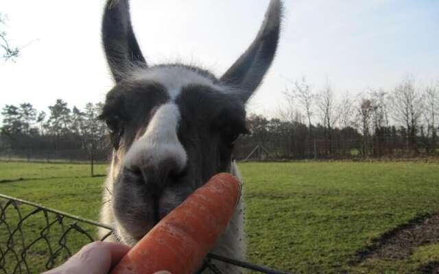 Billund Farm Holiday