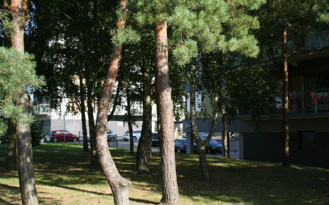 Palangos apartamentai