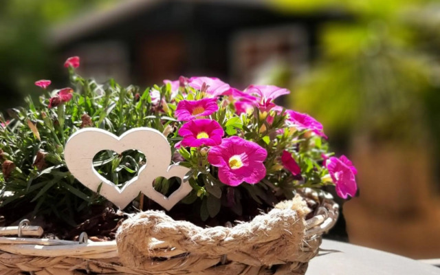 Secret Wellness Boszicht