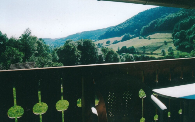 Spacious Apartment near Forest in Oberprechtal