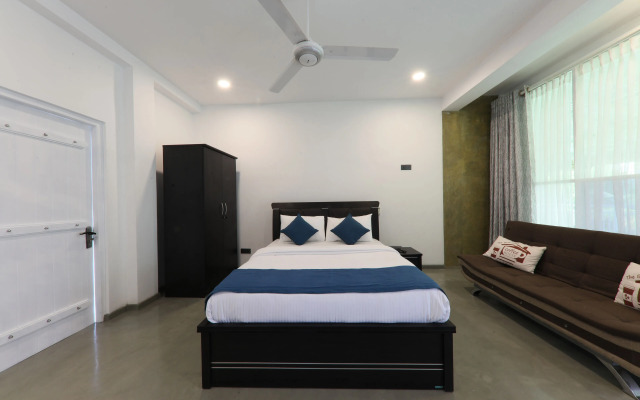 Morning Guest can see Momkeyies and Birds