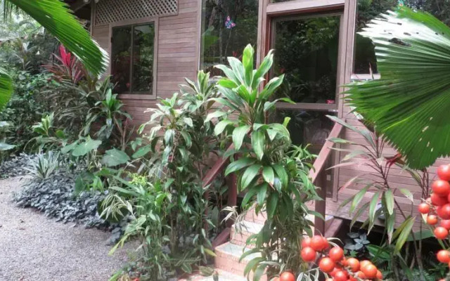 Cecropia House