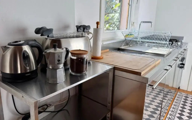 Capitan Antonin (Adults Only)