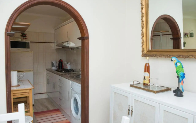 Green house - Sea view