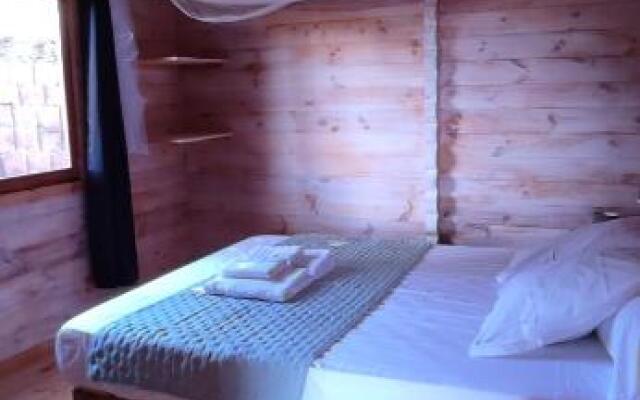 Bungalow vert corail