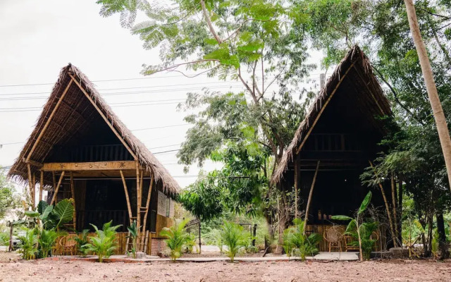 Banyan Tree Hostel