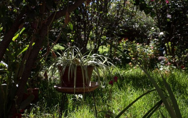 Hospedaje Los Jazmines - Hostel