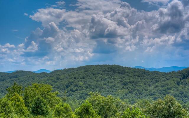 Treetops by Escape to Blue Ridge