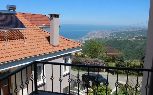 Kral Villa