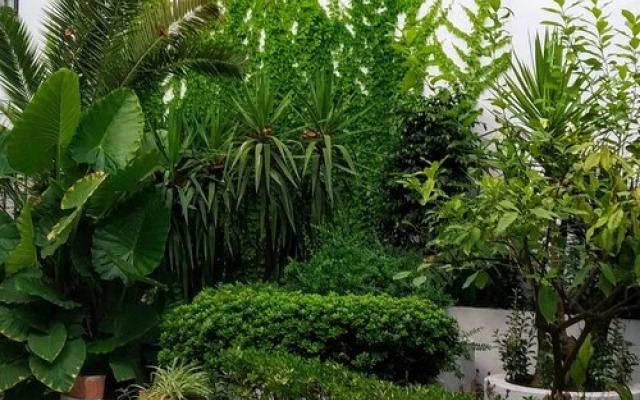 Apartamento Claudio Marcelo