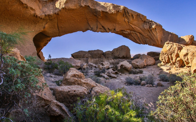 Tenerife Experience Hostel