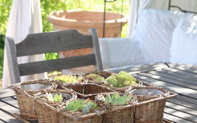 Chez elles en Provence