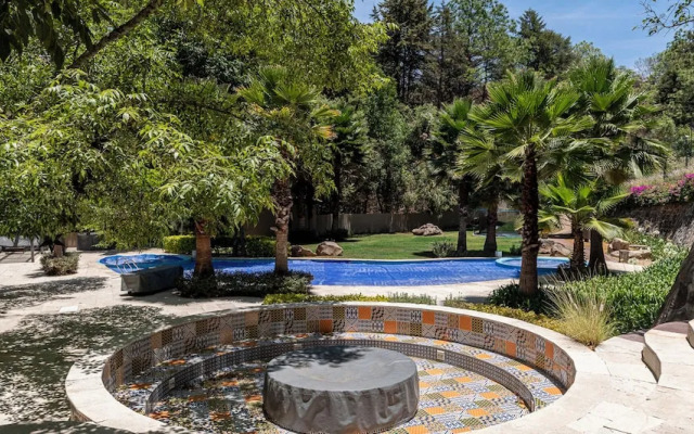 Vista del Bosque