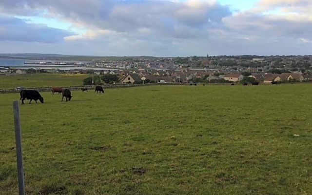 Havnblikk Accommodation